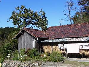 s-20111019 yamaguchi (38).jpg